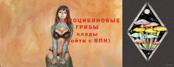 apvp Аркадак