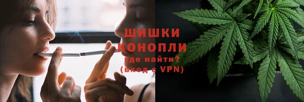 apvp Аркадак