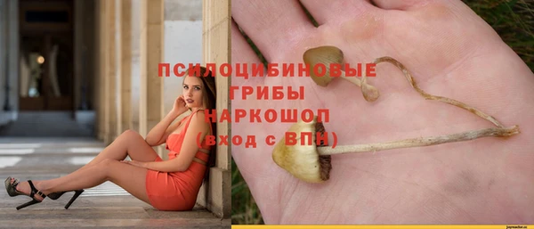 сатива Алексин