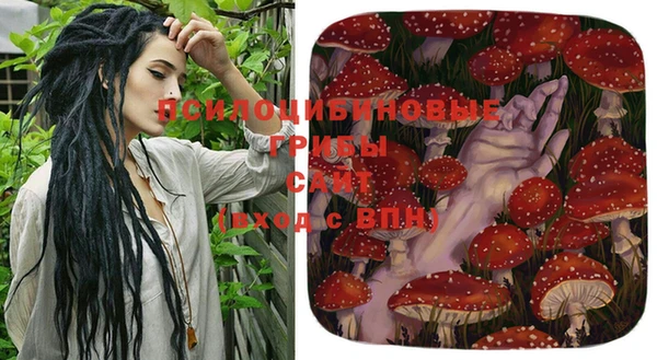 сатива Алексин